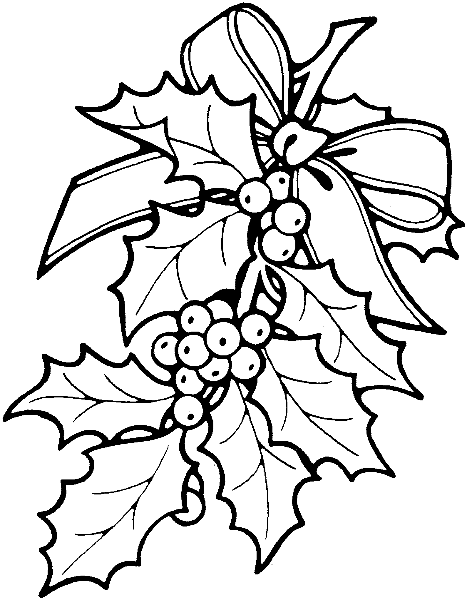 christmas holly clip art, christmas holly border, real christmas holly, christmas holly wreath, christmas holly background-22